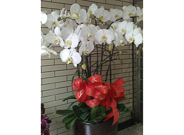 浪漫花坊16