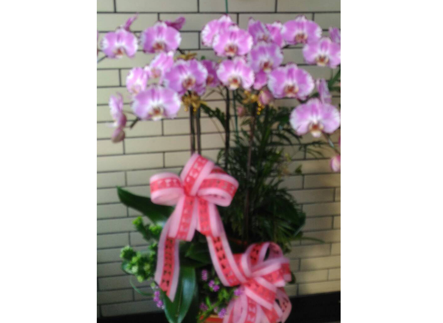 浪漫花坊26