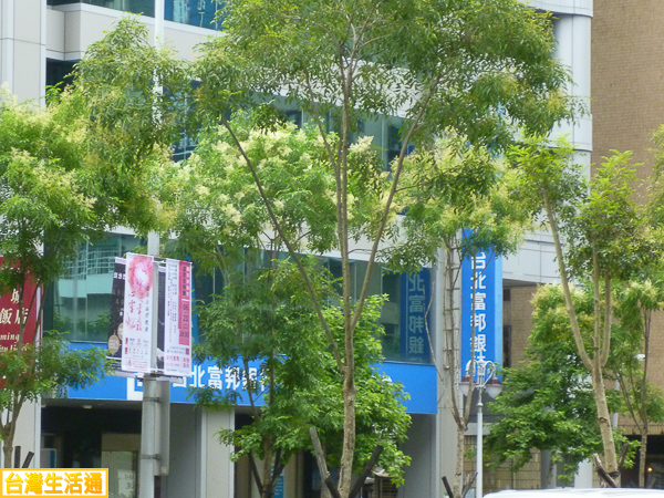 台北富邦銀行